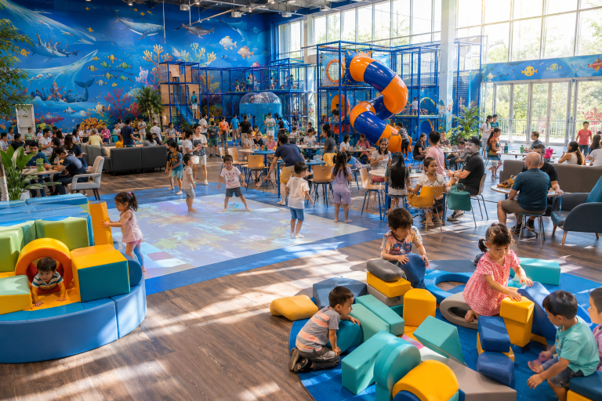 Why Families Love Indoor Playgrounds for Fun Days?